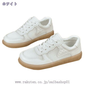 777~OFFN[| Xj[J[ EH[LOV[Y fB[X  ʋC ^C [Jbg JWA  y ʊw [XAbv jO WjA ʋ X|[c ₷ 