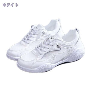 1000~OFFN[| Xj[J[ [XAbv ~[ fB[X Xbp bV ~ EH[LOV[Y LC _炩 r [Jbg  [t@[ JWA ʊw U