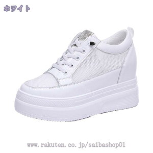 777~OFFN[| Xj[J[ bV  n fB[X  V[NbgV[Y 傫TCY [Jbg EFbW\[ Cq[ [XAbv EHLO r   