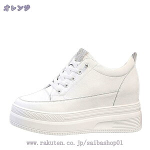 777~OFFN[| Xj[J[ bV  n fB[X  V[NbgV[Y 傫TCY [Jbg EFbW\[ Cq[ [XAbv EHLO r   