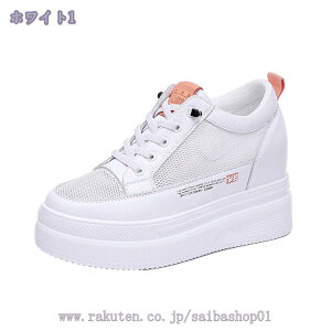 Xj[J[ bV  n fB[X  V[NbgV[Y 傫TCY [Jbg EFbW\[ Cq[ [XAbv EHLO r    JWA