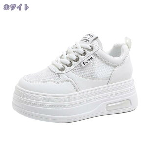 777~OFFN[| Xj[J[  fB[X V[NbgV[Y Xb| tbg bV ʋC   Cq[ vbgtH[ n tH y ₷ JWA ʋ 