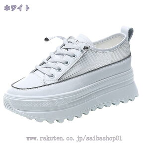 1000~OFFN[| Xj[J[ fB[X Cq[ r r [X q[Abv V[NbgV[Y [Jbg  ₷ Ȃ EFbW\[  킢 g