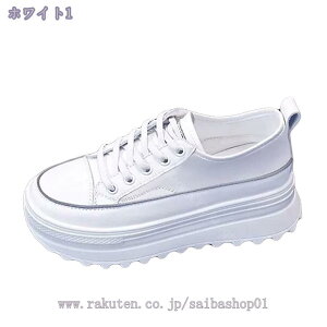 1000~OFFN[| Xj[J[ fB[X Cq[ r r [X q[Abv V[NbgV[Y [Jbg  ₷ Ȃ EFbW\[  킢 g