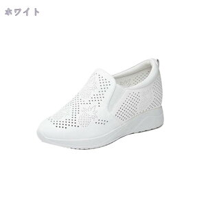 1000~OFFN[| Xb| Xj[J[ V[NbgV[Y [Jbg  Cq[  ʋC t TChSA n  傫TCY i[XV[Y JWA l 