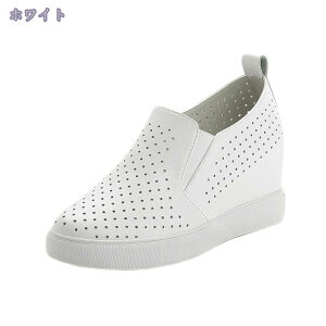 1000~OFFN[|  Xb| fB[X Xj[J[ Cq[ ₷ y ʋC TChSA V[NbgV[Y [t@[ EhgD [Jbg JWA  ʊw 