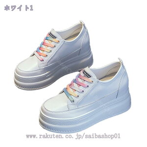 fB[X Xj[J[ Cq[  [XV[X[ [XAbv bV V[NbgV[Y [Jbg gAbv Ȃ ʋC r jO EH[LO  