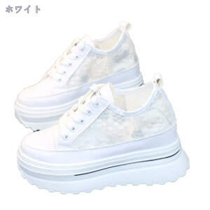 300~OFFN[| Xj[J[ bV  ԕ[X fB[X  [Jbg EFbW\[ V[NbgV[Y Cq[ [XAbv \[ r  y 