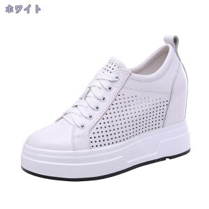 1000~OFFN[|  Xj[J[ fB[X TCY 傫TCY {[ Cq[ r V[NbgV[Y JWA EFbWq[ [XAbv ₷ h 