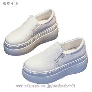 1000~OFFN[| Xj[J[  fB[X Xj[J[  ₷ Xj[J[ fB[X  Xj[J[ Xb|   Xj[J[ q[8cm V[Y fB[X Xb| 