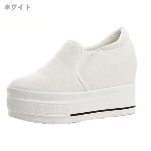 777~OFFN[| Cq[Xj[J[ q[10cm  V[Y JWA Xb| Xj[J[ fB[X Cq[  TCY 傫TCY V[Y fB[X JW