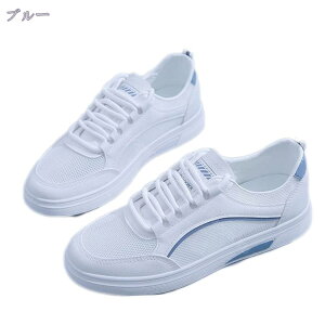 777~OFFN[| Xj[J[ 傫TCY fB[X ꂢ [Jbg  y bV ɂ [XAbv  킢 ^C EH[LOV[Y Xb| JW