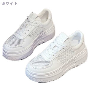 Xj[J[ 傫TCY fB[X ꂢ [Jbg  y bV ɂ [XAbv  킢 ^C EH[LOV[Y Xb| JWA ɂȂ 