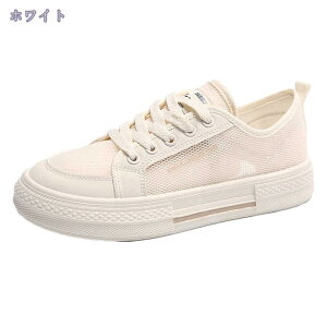 1000~OFFN[| Xj[J[ fB[X  jOV[Y bV 킢  NbV X|[c EH[LO tbgV[Y ^C ̈ p q y ʋC h