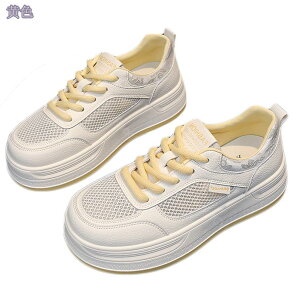 1000~OFFN[| Xj[J[ fB[X bV ʋC jO EH[LO ^C WMO ~ r JWA tbgV[Y ꂢ  킢 p q 