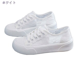 500~OFFN[| fB[X  y [XAbv Xj[J[  bV ʋC Xj[J[ EH[LOV[Y Ȃ q[Abv  ʋ ʊw y RtH[g g[