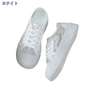 1000~OFFN[| Xj[J[  fB[X y ʋC bV [XAbv [Jbg ؂ EH[LO X|[c JWAV[Y 傫TCY t  r  ʋ 