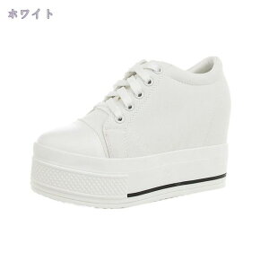 fB[X  V[Y Cq[ [XAbv Xj[J[ \[ r 킢  q[ 10cm JWA ₷  ubN  zCg JWA C gA