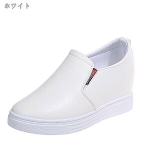 777~OFFN[| Xb| Xj[J[ fB[X Cq[  [Jbg r ₷ C 킢   JWA V[Y 傫TCY y RȂ ʊw Cq[X