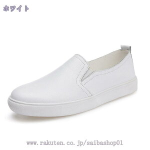 500~OFFN[| fB[X Xb| Xj[J[ V[Y [Jbg tbg fB[X t TChSA y JWA C n [t@[ ₷ y Xj[J[ 