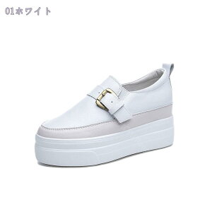 760~OFFN[| Xb| fB[X C Xj[J[ ʋC   ɂȂ ₷  V[Y Ȃ Vv 傫TCY ؂ tbgV[Y ʋ  