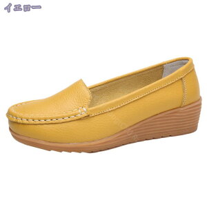 500~OFFN[| Xb| Xj[J[ ₷   t fB[X L y    ₷ y U[ IW y ~ V[Y [t@[  H Ȃ C