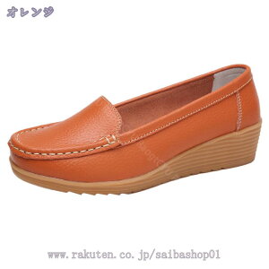 500~OFFN[| Xb| Xj[J[ ₷ t V[Y ₷ fB[X L  [t@[ y  H U[ Ȃ  y    CG[ ~  I