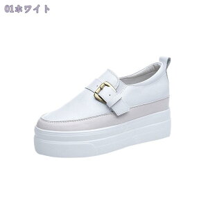 777~OFFN[| Xb| fB[X C Xj[J[ ʋC   V[Y ؂ Ȃ Vv tbgV[Y  傫TCY ʋ ɂȂ C ʊw  