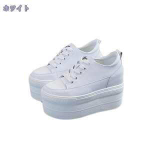 1000~OFFN[| Xb| Xj[J[ V[Y [Jbg  Cq[ JWA ₷ n 傫TCY [XAbv zCg ᔽ fB[X t ubN l V[