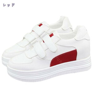 Xj[J[ }WbNe[v Xb| fB[X ؂ [Jbg ₷ ʋC Vv ₷ Xj[J[  JWA t@bV ʊw X|[c ʋ Ȃ 