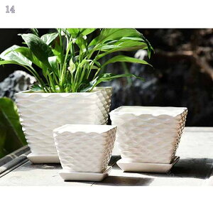 500~OFFN[| Aؔ   픫 v^[ 3Zbg( 4 5 6) 󂯎Mt ϗtA  }bgubN v^[ 5 󂯎Mt t    A Ce