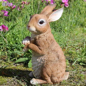 1000~OFFN[| K[fjO  u  ̒u  IuWF K[f I[ig  O  K[fjOG rO CeA G 킢G ObY