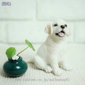 1000~OFFN[|  u  K[f G ̒u  Ck I[ig IuWF  A CeA O K[fjOG   K[fObY K[fI[i