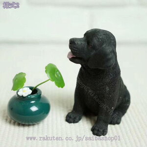 2000~OFFN[| u  CeA O  K[fjOG peBIEK[fEŐpO ̒u LOi IuWF  fR[V 킢 K[fI[igh  