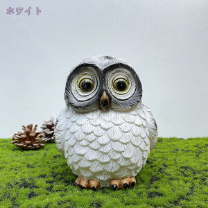 tNE u LEDCg \[[ӂ낤̏ O Aj} u  ̑ O K[f\[[Cg ӂ낤̑ ÃZT[  킢  ObY K[fC