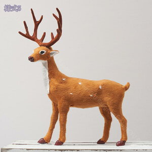 NX}X  u giJC NX}XI[ig gF  z[fR[V NX}X̒u Mtg k G  ʐ^Be DIY  NX}XG LO v[g 