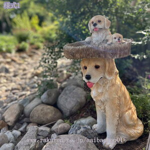 2000~OFFN[| K[fIuWF Aj} I[ig  u G A O K[fjOG ̑ K[fG IuWF ̒ LOi ObY Ck ʂ̒u C