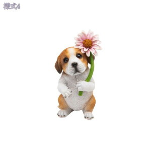 300~OFFN[| L u A Lbg I[ig L̒u CeA G Aj} IuWF   ֏ Mtg  v[g  lR G L̒u K[f 