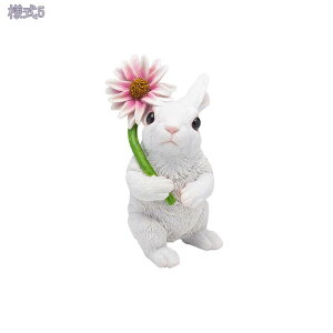 1000~OFFN[| 킢 u L  k  G IuWF 蕨 CeA Ȓu  ItBX  rO  CeAG ԓ  zj