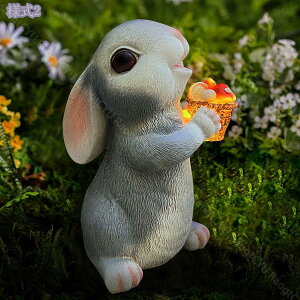 1000~OFFN[| K[fCg \[[u  \[[Cg LEDCg O h ϋv ό  ̒ K[fI[ig uCg 킢 v[g  fR[