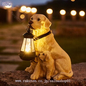 \[[Cg K[fCg  uCg h O LED K[fI[ig  K[fIuWF 킢  G K[f  IuWF   Cg   K[