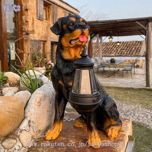 \[[Cg K[fCg  uCg h O LED K[fI[ig  K[fIuWF 킢  G K[f  IuWF   Cg   K[