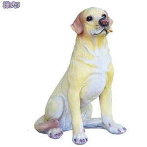 ̒u  ^ IuWF hbOI[ig  Ck  I[ig K[f CeA G u  K[fI[ig O o Ki Ő v[g AȌ u