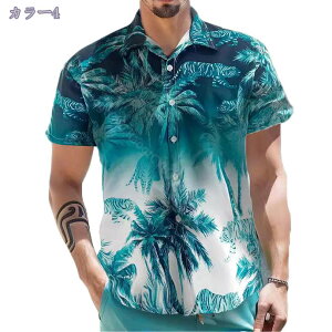 1000~OFFN[| Vc Y ĕ Y  CVc 傫TCY IV |lbN KȌy z _炩 {^Abv Vc gbvX XgCv J݃Vc 