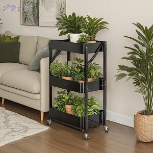 777~OFFN[| Lb`S ܂ LX^[t k X   3i Lb`[ S [ [S TChS Ƒ rO \t@TCh 킢 Ce