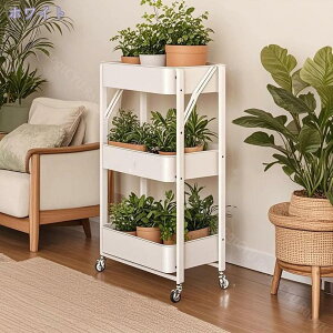 300~OFFN[| Lb`S ܂ LX^[t k X   3i Lb`[ S [ [S TChS Ƒ rO \t@TCh 킢 Ce