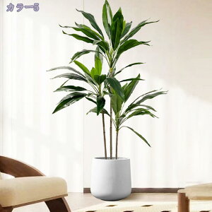 2000~OFFN[| lHϗtA tFCNO[ ^ϗA  lHV̗t Vv ItBX    Q oRj[ V̗t 킢CeAO[ K