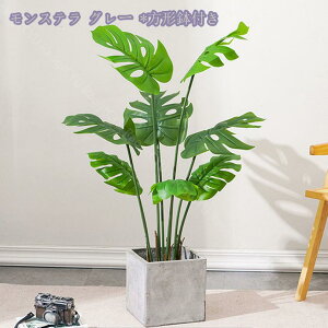 tFCNO[ lHϗtA A ^ ϗtA A  ϗt  ItBX  z[ x_ GgX CeAO[ lHϗtA tFCNϗtA Ύ t