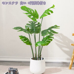 1000~OFFN[| Ύ tFCNO[ ^  i` lHϗtA A Vz JX J fBXvC {^jJ  p z[ 뉀 Cxg a j v[g 