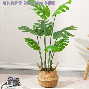 2000~OFFN[| tFCNO[ lHϗtA A ^ ϗtA A  ϗt  ItBX  z[ x_ GgX CeAO[ lHϗtA tFCN